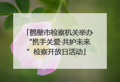 鹤壁市检察机关举办“携手关爱·共护未来”检察开放日活动