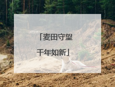 麦田守望 千年如新