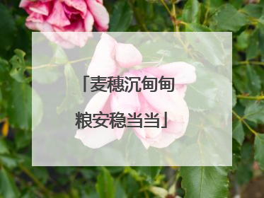 麦穗沉甸甸 粮安稳当当