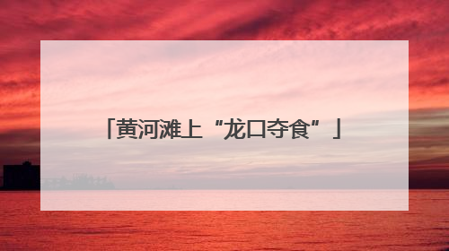 黄河滩上“龙口夺食”