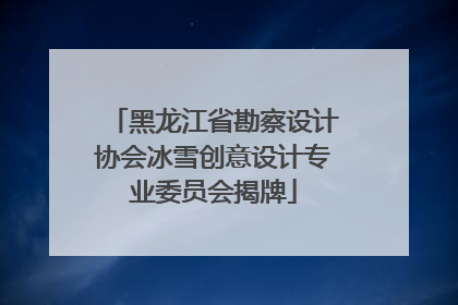 黑龙江省勘察设计协会冰雪创意设计专业委员会揭牌