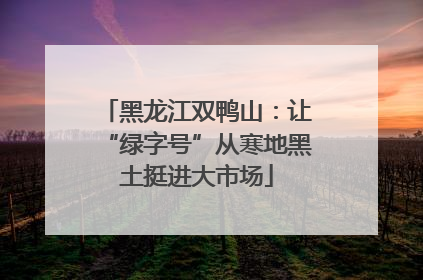 黑龙江双鸭山：让“绿字号”从寒地黑土挺进大市场