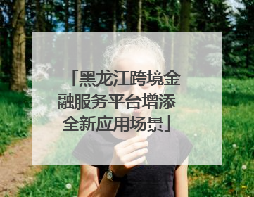 黑龙江跨境金融服务平台增添全新应用场景