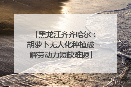 黑龙江齐齐哈尔：胡萝卜无人化种植破解劳动力短缺难题