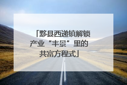 黟县西递镇解锁产业“丰景”里的共富方程式