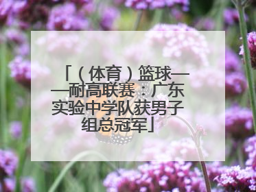 （体育）篮球——耐高联赛：广东实验中学队获男子组总冠军