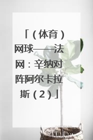 （体育）网球——法网：辛纳对阵阿尔卡拉斯（2）