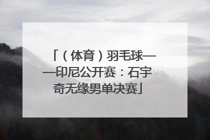 （体育）羽毛球——印尼公开赛：石宇奇无缘男单决赛