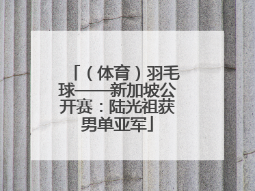 （体育）羽毛球——新加坡公开赛：陆光祖获男单亚军
