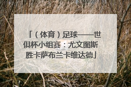 （体育）足球——世俱杯小组赛：尤文图斯胜卡萨布兰卡维达德