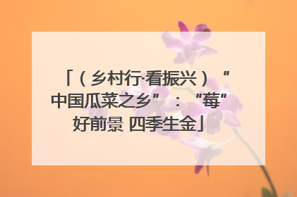 （乡村行·看振兴）“中国瓜菜之乡”：“莓”好前景 四季生金