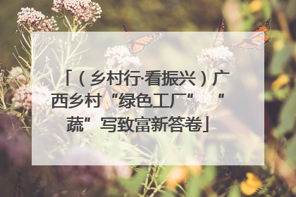 （乡村行·看振兴）广西乡村“绿色工厂” “蔬”写致富新答卷