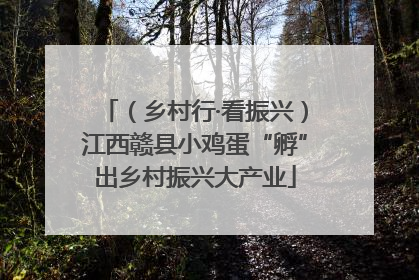 （乡村行·看振兴）江西赣县小鸡蛋“孵”出乡村振兴大产业