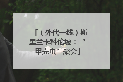 （外代一线）斯里兰卡科伦坡：“甲壳虫”聚会