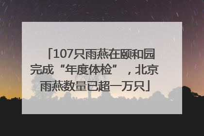 107只雨燕在颐和园完成“年度体检”，北京雨燕数量已超一万只