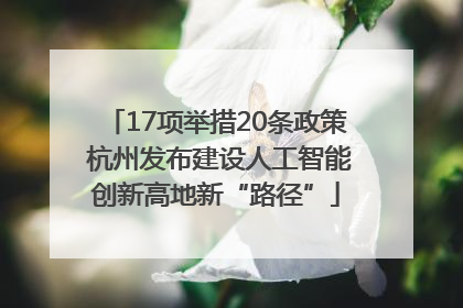 17项举措20条政策 杭州发布建设人工智能创新高地新“路径”