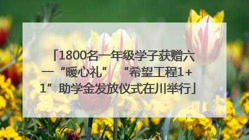 1800名一年级学子获赠六一“暖心礼” “希望工程1+1”助学金发放仪式在川举行
