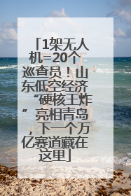 1架无人机=20个巡查员！山东低空经济“硬核王炸”亮相青岛，下一个万亿赛道藏在这里