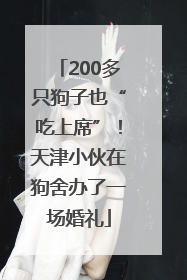 200多只狗子也“吃上席”！天津小伙在狗舍办了一场婚礼