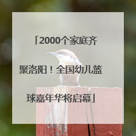 2000个家庭齐聚洛阳！全国幼儿篮球嘉年华将启幕