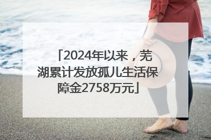 2024年以来，芜湖累计发放孤儿生活保障金2758万元