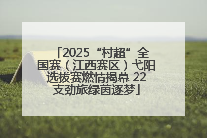 2025“村超”全国赛（江西赛区）弋阳选拔赛燃情揭幕 22支劲旅绿茵逐梦