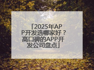 2025年APP开发选哪家好？高口碑的APP开发公司盘点