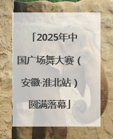 2025年中国广场舞大赛（安徽·淮北站）圆满落幕