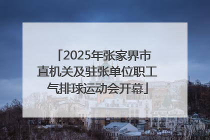 2025年张家界市直机关及驻张单位职工气排球运动会开幕