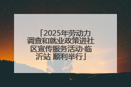 2025年劳动力调查和就业政策进社区宣传服务活动·临沂站 顺利举行