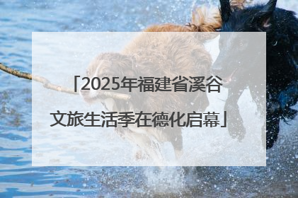 2025年福建省溪谷文旅生活季在德化启幕