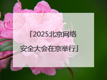 2025北京网络安全大会在京举行