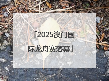 2025澳门国际龙舟赛落幕