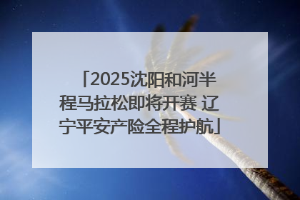 2025沈阳和河半程马拉松即将开赛 辽宁平安产险全程护航