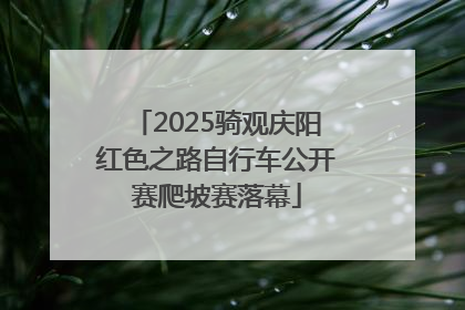 2025骑观庆阳红色之路自行车公开赛爬坡赛落幕