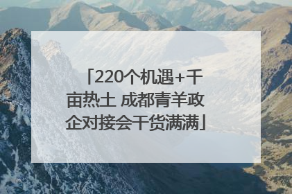 220个机遇+千亩热土 成都青羊政企对接会干货满满