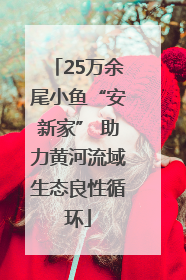 25万余尾小鱼“安新家” 助力黄河流域生态良性循环