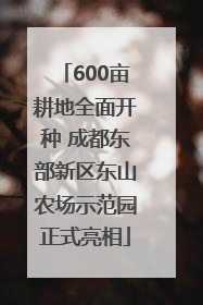 600亩耕地全面开种 成都东部新区东山农场示范园正式亮相