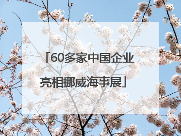 60多家中国企业亮相挪威海事展