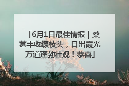 6月1日最佳情报｜桑葚丰收缀枝头，日出霞光万道蓬勃壮观！恭喜