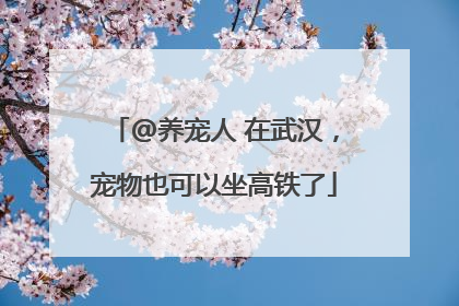 @养宠人 在武汉，宠物也可以坐高铁了
