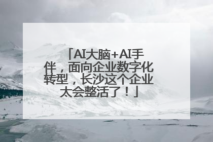 AI大脑+AI手伴，面向企业数字化转型，长沙这个企业太会整活了！