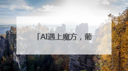 AI遇上魔方，葡萄酒携手川菜……匈牙利和成都碰出意想不到的合作机会